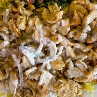 Chicken Shawarma Plate.